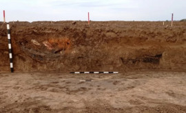 Descoperire arheologică în raionul Cahul au fost găsite complexe funerare din epoca bronzului