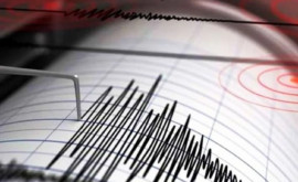 11 cutremure în jumătate de zi în România