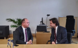 Нику Попеску встретился с министром иностранных дел Румынии
