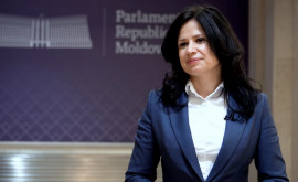 O delegație a Parlamentului RMoldova pleacă la Viena