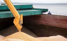 Украина будет добиваться продления действия зернового соглашения на год