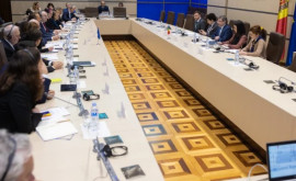 Гросу обсудил с депутатами Европарламента парламентскую повестку реформ