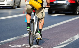 Обращение с требованием обеспечить безопасность велосипедистов на дорогах