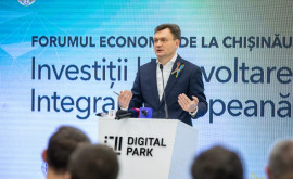 Serviciul Investornanny va fi disponibil pentru investitorii străini în Moldova