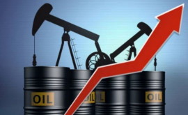 Нефтепродукты возглавили топ молдавского экспорта 
