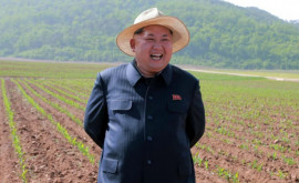 Голод в Северной Корее Страна сталкивается с продовольственным кризисом