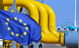 Prețurile gazelor din Europa sau prăbușit
