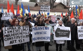 Протест перед зданием Конституционного суда Мы молдаване