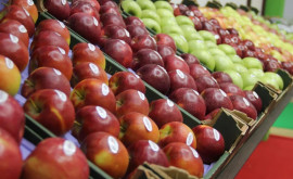 Как обстоят дела с экспортом молдавских яблок