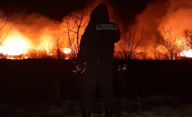 Salvatorii au intervenit pentru stingerea incendiilor de vegetație în zona de frontieră