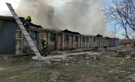 Шесть бригад спасателей тушили пожар в Кагуле