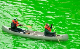 Река Чикаго окрасилась необычным зеленым цветом