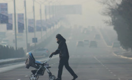 Studiu Niciun loc de pe Pământ nu mai este ferit de poluarea aerului
