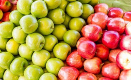 Care este situația cu privire la exportul merelor moldovenești