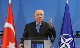 Эрдоган Турция готова поддержать членство Финляндии в НАТО