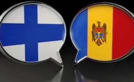 Молдова и Финляндия расширят торговлю 