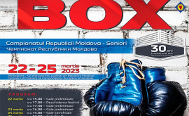 La Chișinău începe Campionatul Moldovei de box
