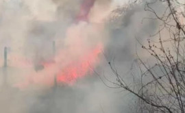 Сильный пожар сухой растительности в Тигине