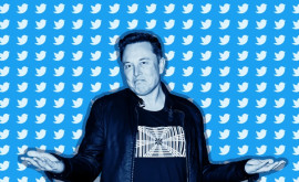 Din nou acest Musk Ce conturi de Twitter ar putea ajungfe să vă fie recomandate