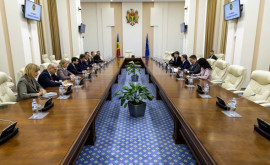 Речан побеседовал с представителями Румынии об инвестиционном климате Молдовы