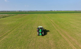 O companie daneză spune că gestionează 10 din terenurile agricole din Moldova