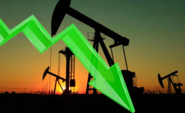 Нефть начала дешеветь