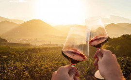 Bolea Veniturile din sectorul vinicol au crescut 
