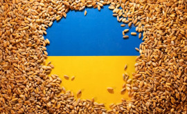 Венгрия ужесточает контроль за зерном с Украины