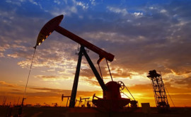 Prețul petrolului din nou în creștere 