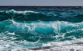 Temperatura globală a suprafeței oceanelor atinge un nivel record Riscurile 