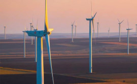 Солнечные и ветровые электростанции произвели в 2022 году рекордное количество энергии