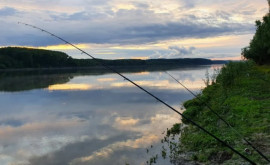 Двух мужчин застали за незаконной рыбалкой в заповеднике Нижний Прут