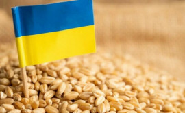Ministrul român despre cerealele ucrainene Deciziile nu trebuie să prejudicieze țara