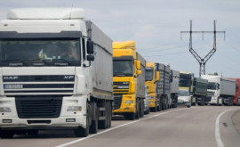 Километровая очередь грузовиков с зерном на украинскопольской границе