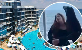 Дельфинарий Немо в Одессе попал в скандал изза фото животных 
