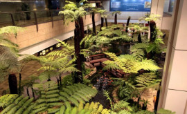 Cel mai frumos aeroport din lume Are cascadă grădină botanică și dinozauri 