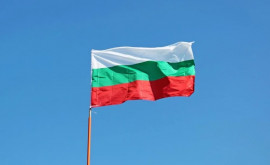 Bulgaria interzice importurile de alimente din Ucraina