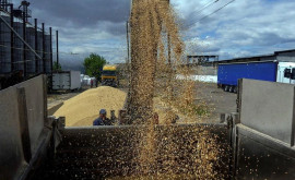 România nu va impune o interdicție asupra importurilor de cereale din Ucraina