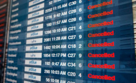 Пассажиры Air Moldova требуют возврата денег за билеты