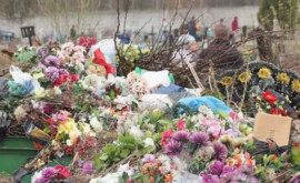 Граждан призывают не приносить пластиковые цветы и венки на могилы