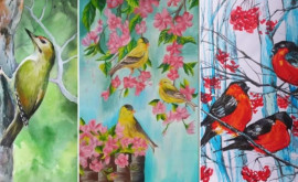 Concurs pentru amatorii de pictură și doritorii de a face cunoștință cu avifauna Moldovei