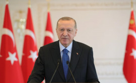 Эрдоган Турция больше не будет нуждаться в поставках энергоресурсов
