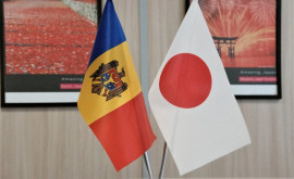 Молдова и Япония проведут переговоры по соглашению о поощрении и защите инвестиций