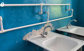 Gîndaci tencuială căzută și toalete insalubre Cum arată unele cămine studențești din țară