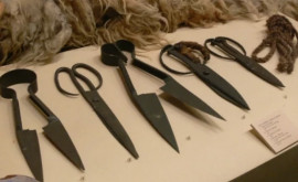 В Германии саперы нашли в древней кельтской гробнице почти рабочие ножницы