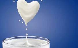 Totul despre beneficiile produselor lactate acide