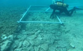 Secretele Adriaticii Un drum vechi de 7000 de ani descoperit pe fundul mării