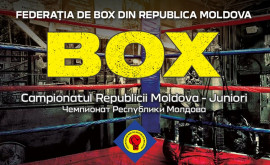 În curînd va începe Campionatul Moldovei la box printre juniori
