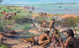 Ученые выяснили какие ландшафты предпочитали древние люди 