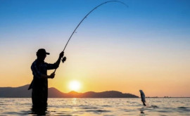 Рыбаков осудили за свинцовую начинку в рыбе чтобы сделать ее тяжелее 